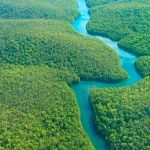 Amazonia