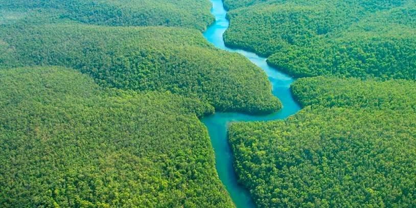 Amazonia