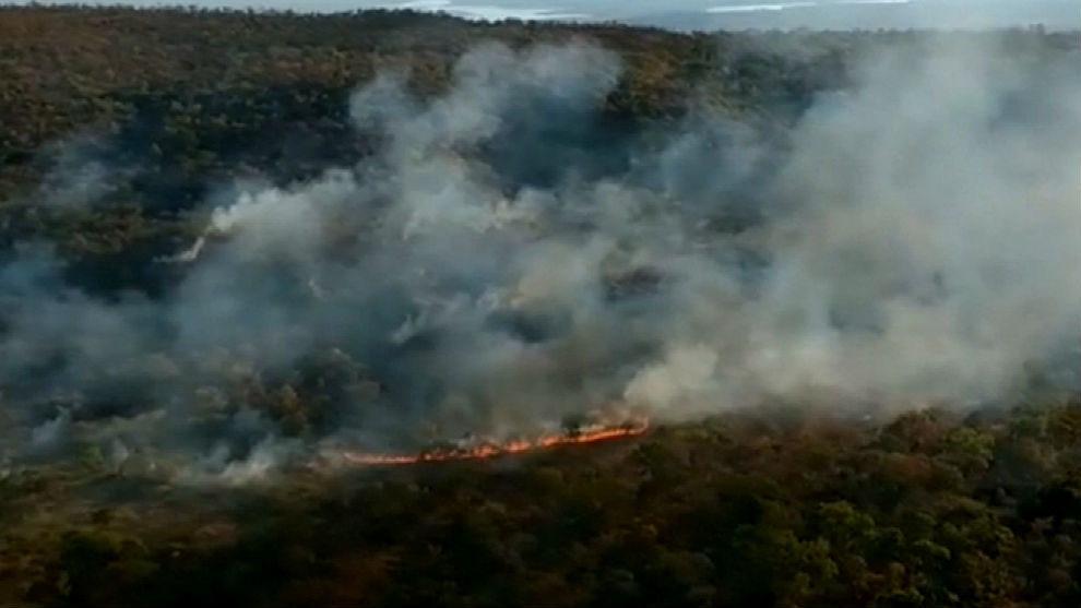 Amazonia incendio