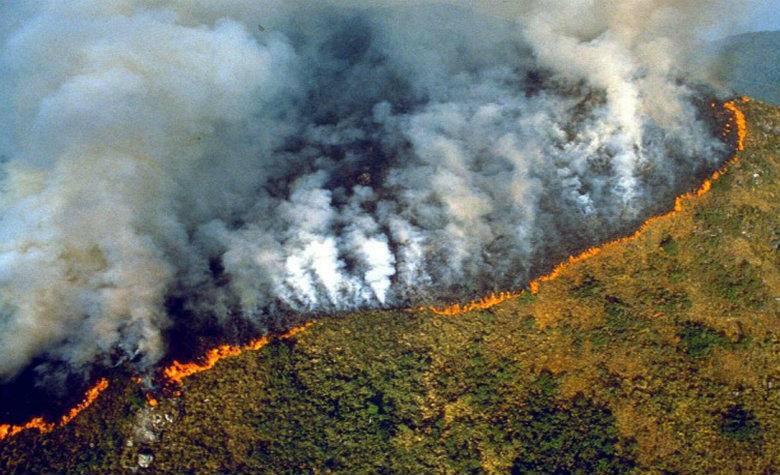 Incendio Amazonia