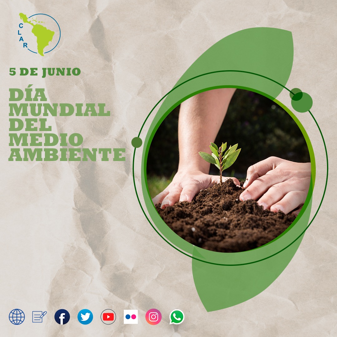 Dia del Medioambiente