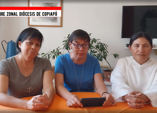 Declaración Conferre Zonal, Copiapó