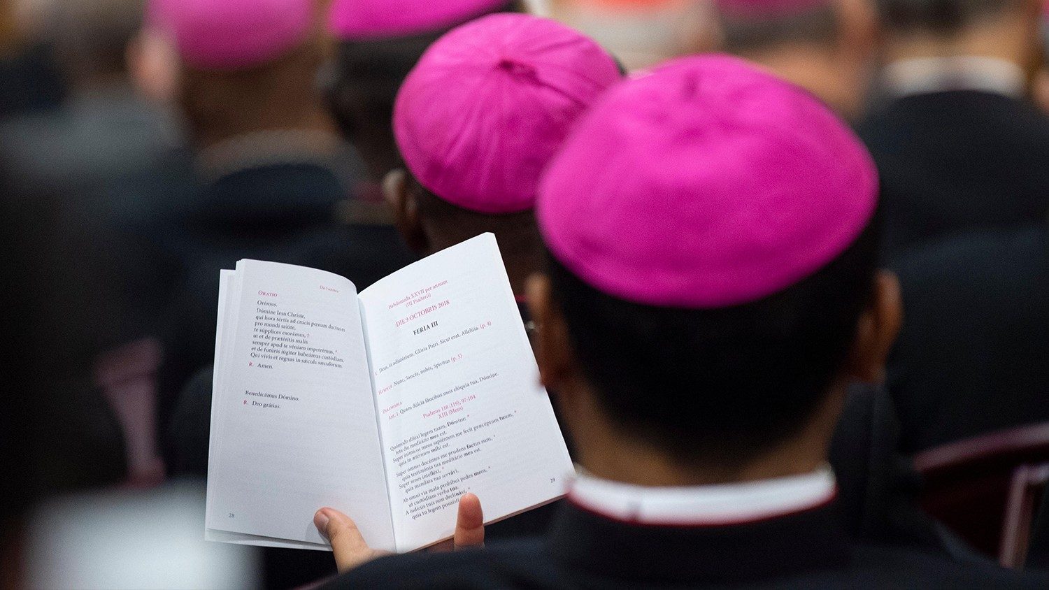 Sínodo: Una Iglesia que acoge a todos y no anula las diferencias