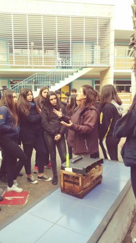 Actividad Jupic (20)