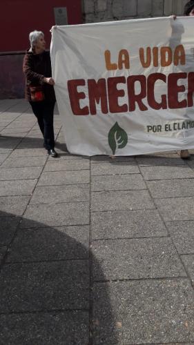 JUPIC Emergencia CLimática (1)